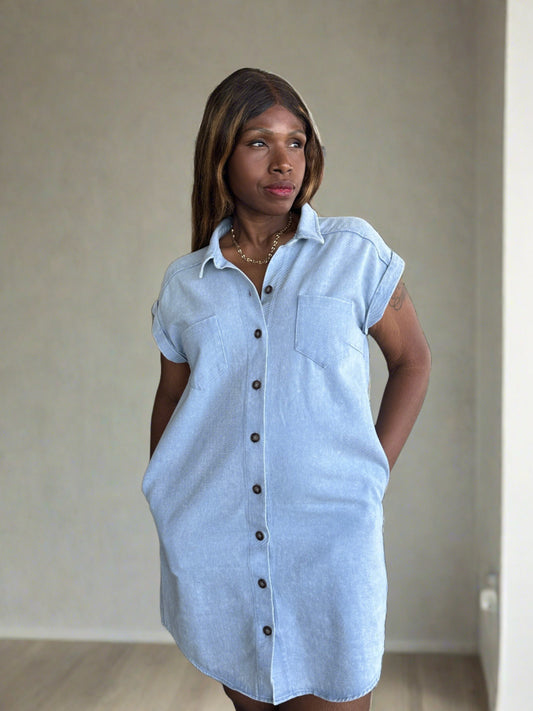 Erica Jean Shirt Dress
